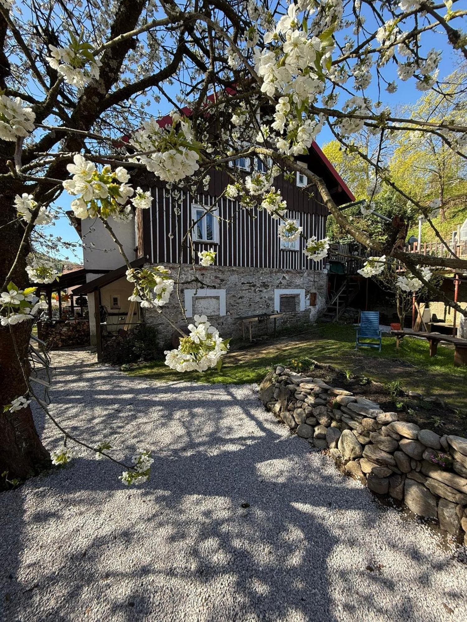 Vila Adelka - Utulna Chalupa V Krkonosich Horní Maršov Exterior foto
